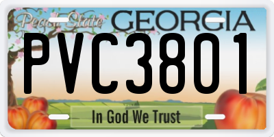 GA license plate PVC3801
