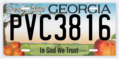 GA license plate PVC3816