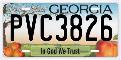 GA license plate PVC3826