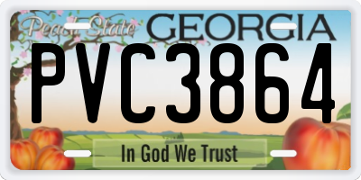 GA license plate PVC3864