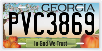 GA license plate PVC3869
