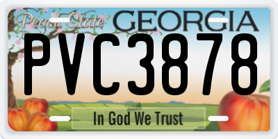 GA license plate PVC3878