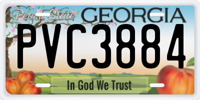 GA license plate PVC3884