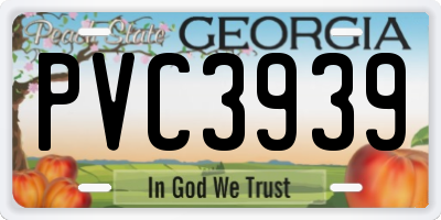 GA license plate PVC3939
