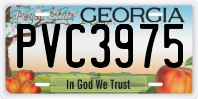 GA license plate PVC3975