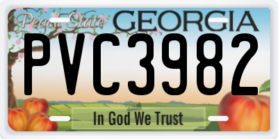 GA license plate PVC3982