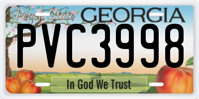 GA license plate PVC3998