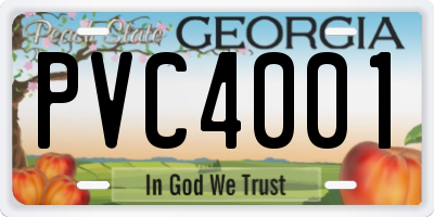 GA license plate PVC4001