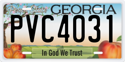 GA license plate PVC4031