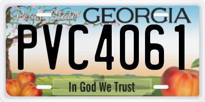 GA license plate PVC4061