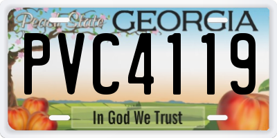GA license plate PVC4119