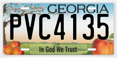 GA license plate PVC4135
