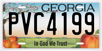 GA license plate PVC4199