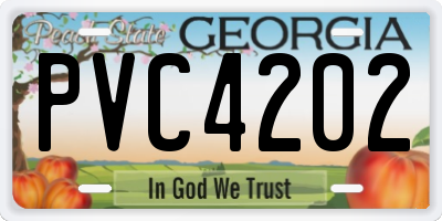 GA license plate PVC4202