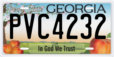 GA license plate PVC4232