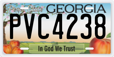 GA license plate PVC4238