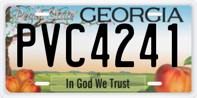 GA license plate PVC4241