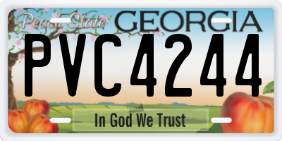 GA license plate PVC4244