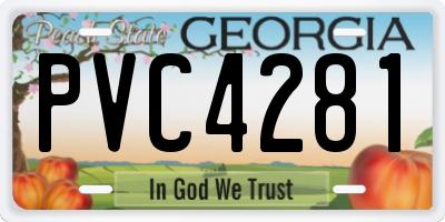 GA license plate PVC4281
