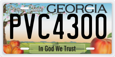 GA license plate PVC4300