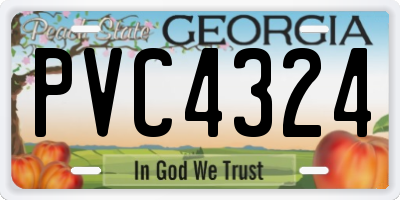 GA license plate PVC4324