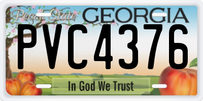 GA license plate PVC4376