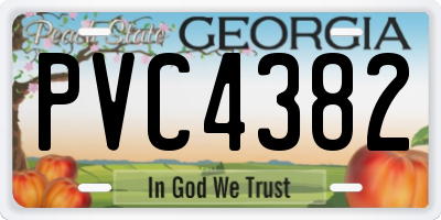 GA license plate PVC4382
