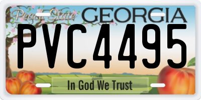 GA license plate PVC4495