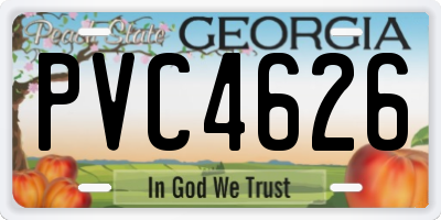 GA license plate PVC4626