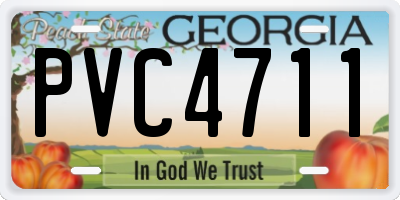 GA license plate PVC4711