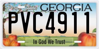 GA license plate PVC4911