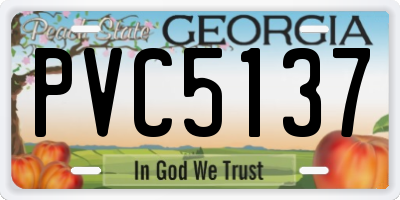 GA license plate PVC5137