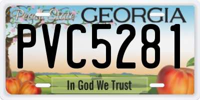 GA license plate PVC5281