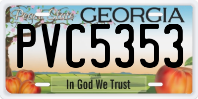 GA license plate PVC5353