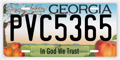 GA license plate PVC5365