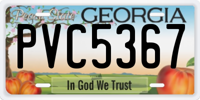 GA license plate PVC5367