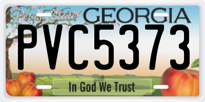 GA license plate PVC5373