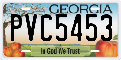 GA license plate PVC5453