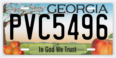 GA license plate PVC5496