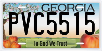 GA license plate PVC5515