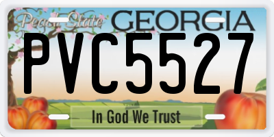 GA license plate PVC5527