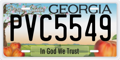 GA license plate PVC5549