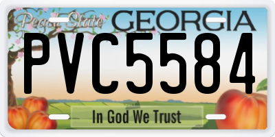 GA license plate PVC5584