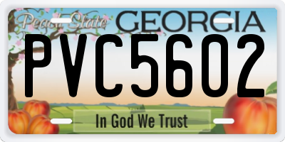 GA license plate PVC5602