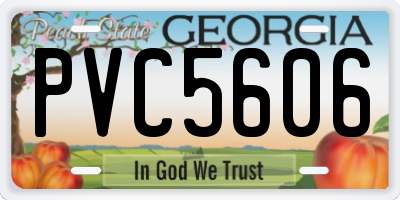 GA license plate PVC5606