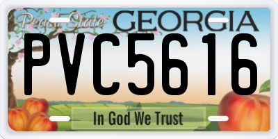 GA license plate PVC5616