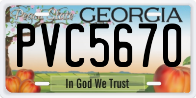 GA license plate PVC5670