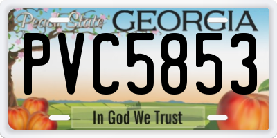 GA license plate PVC5853