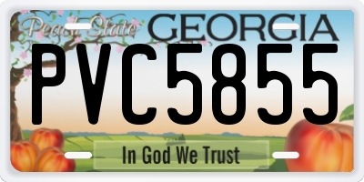 GA license plate PVC5855
