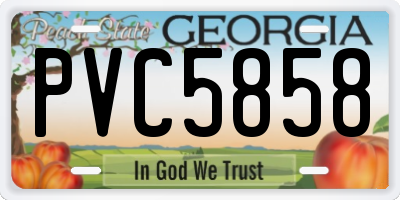 GA license plate PVC5858